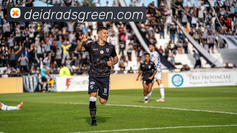 登录器